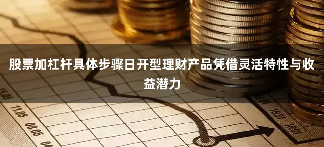 股票加杠杆具体步骤日开型理财产品凭借灵活特性与收益潜力