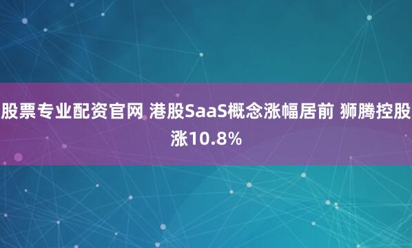 股票专业配资官网 港股SaaS概念涨幅居前 狮腾控股涨10.8%